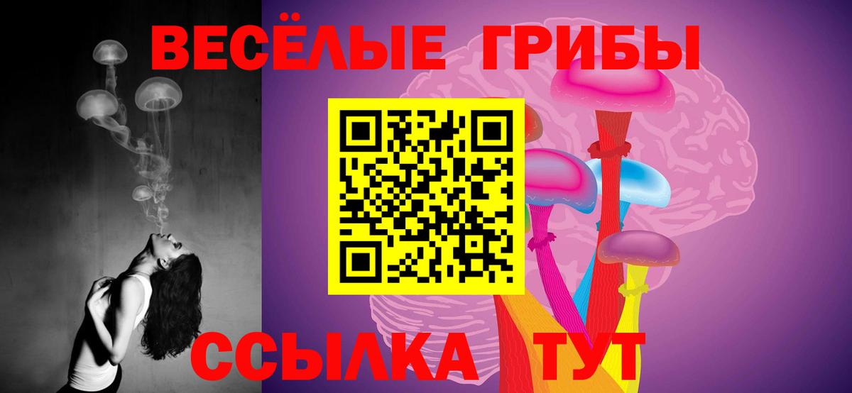 Галлюциногенные грибы GOLDEN TEACHER  Вход с VPN  где можно купить   Воткинск 
